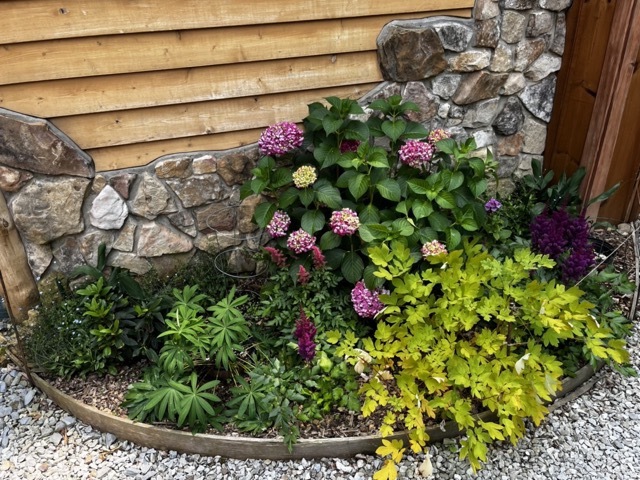 Tennessee flower bed with Hydrangeas