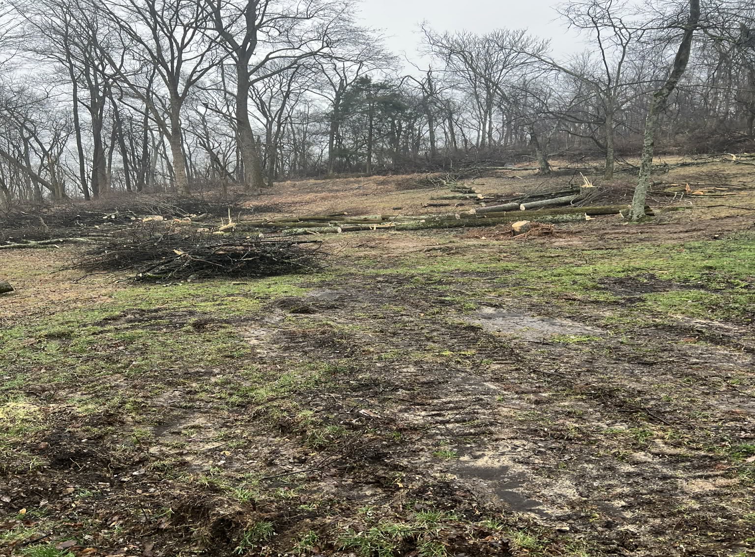 Skid steer marks following ice storm