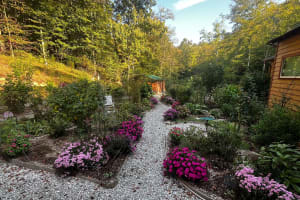 10 Autumn Things For The Smart Gardener