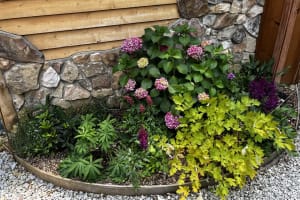 Summer Things For The Smart Gardener