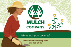 After Winter Storm Fern, Now is the Time to Plant and Seed!