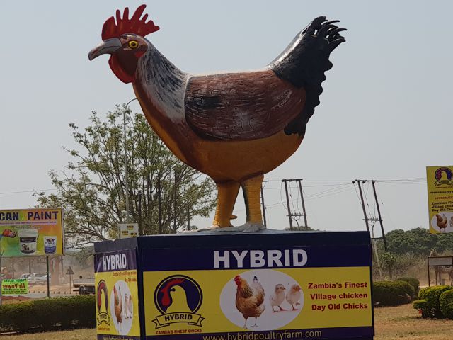 Chicken Statue