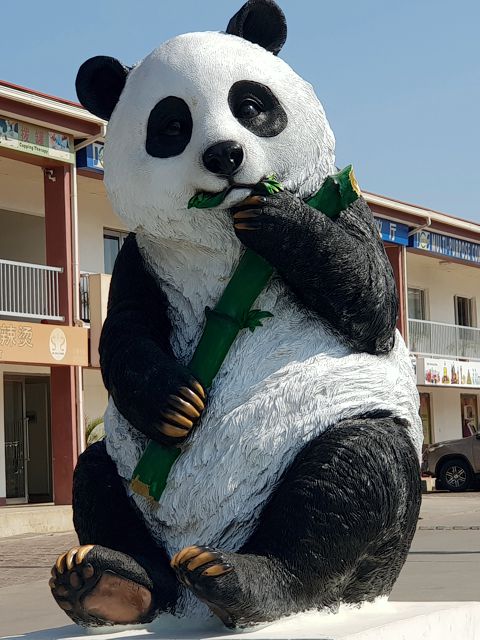 Panda