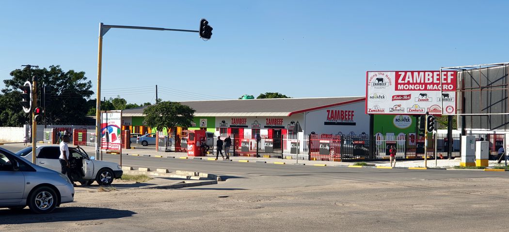 Mongu