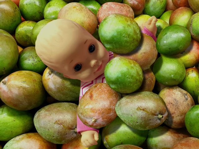 Mango