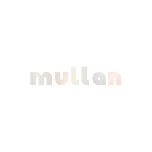 Dublin Brass Picture Light 50.5cm main product photo