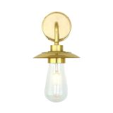 Ren Brass Swan Neck Wall Light – MaisonBlonde