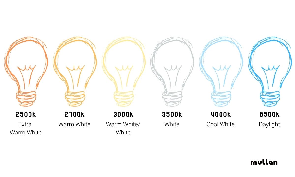 what color is daylight light bulb