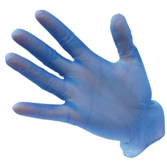 Large Size 9 Powder Free Vinyl Gloves