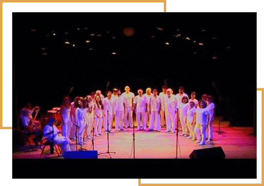 Especiais para TV UFSC