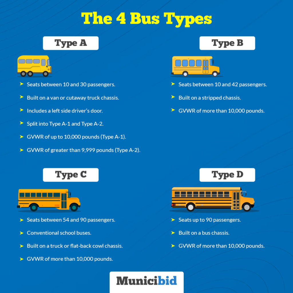 Bus Types infographic