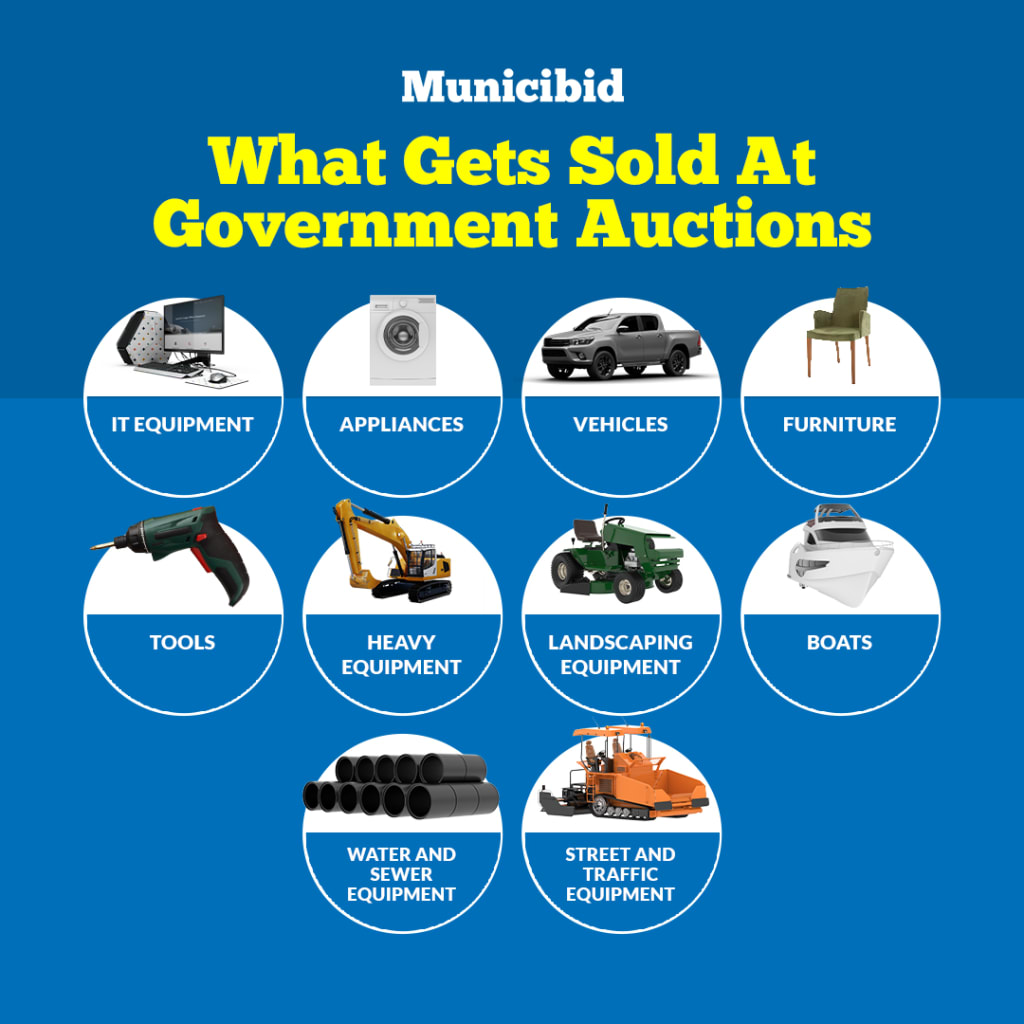 Government Surplus Categories infographic