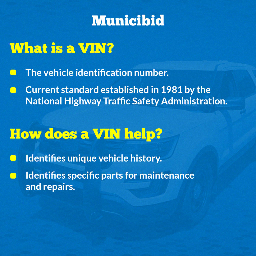 VIN Definition infographic
