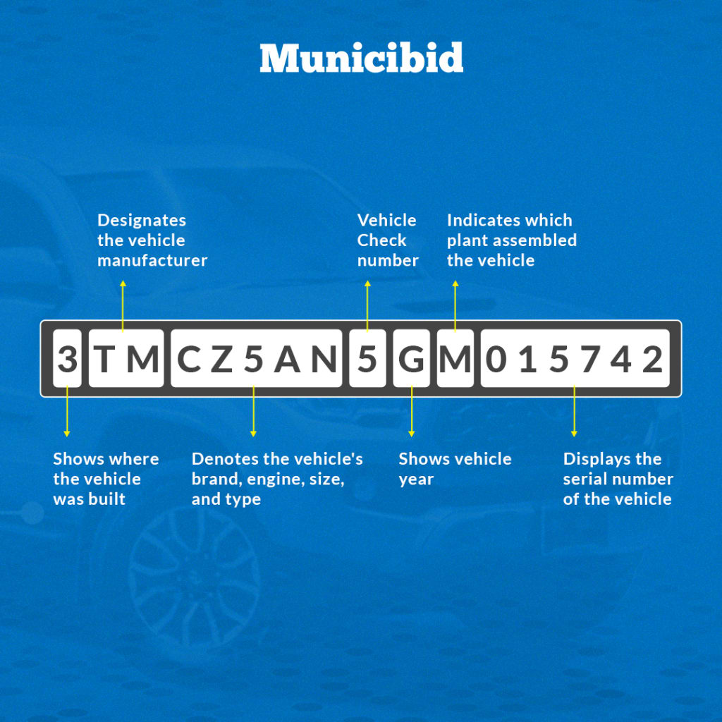 Decoding a VIN infographic