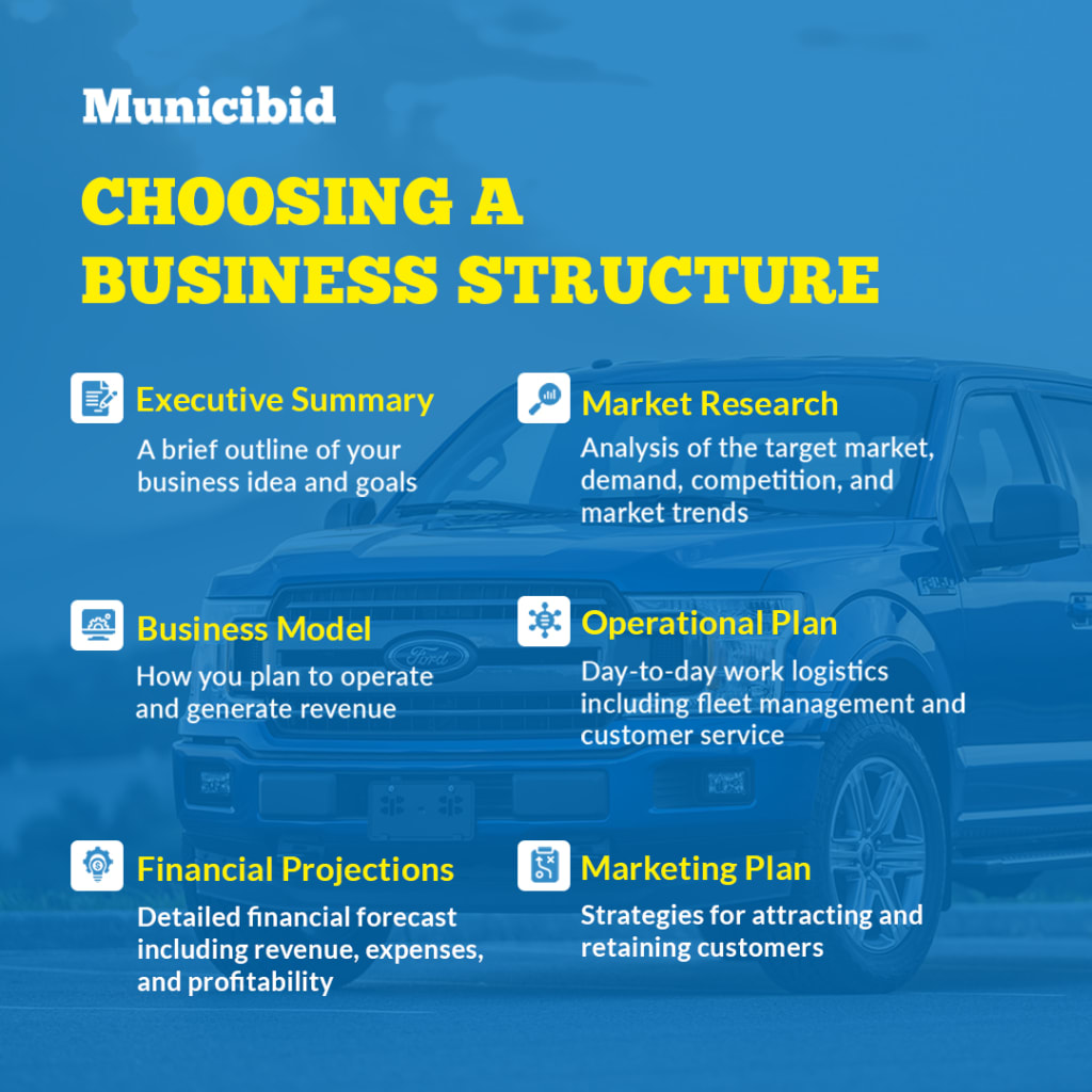 Choosing a Business Structure infographic