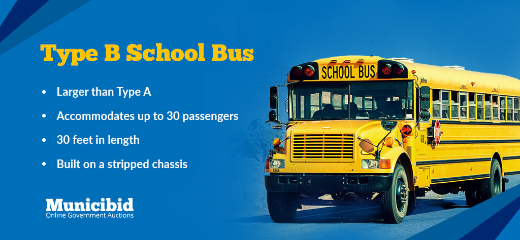 Type B School Bus Infographic