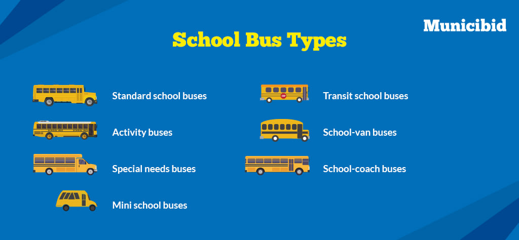 School bus types infographic