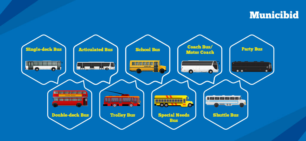 Bus types infographic