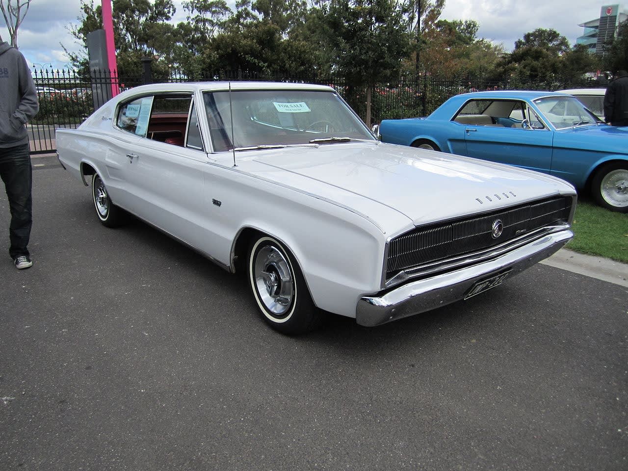 Classic muscle cars. Image by Sicnag, from Wikimedia Commons.