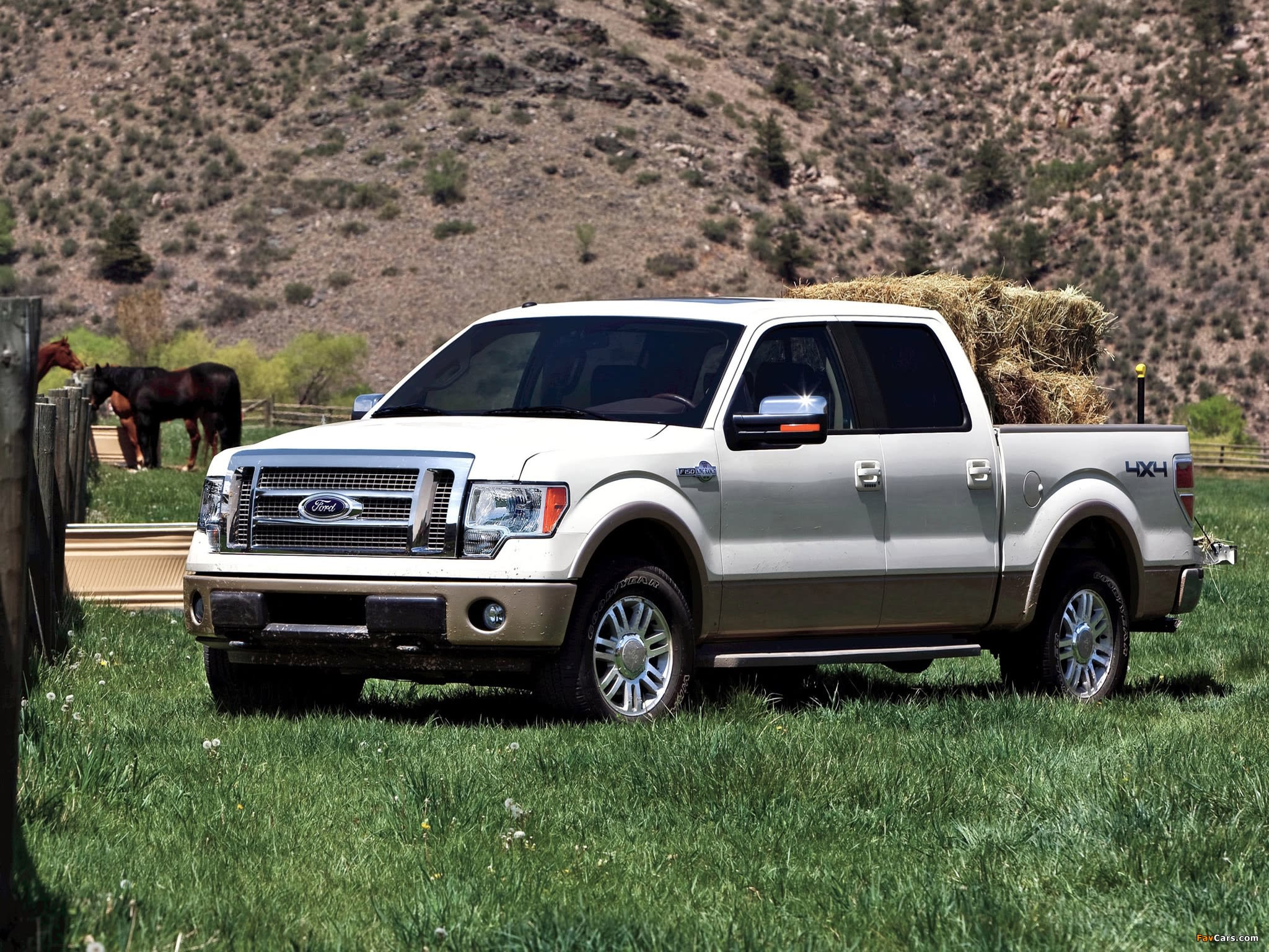 White Ford F-150 truck in a grassy field with horses and hills in the background.