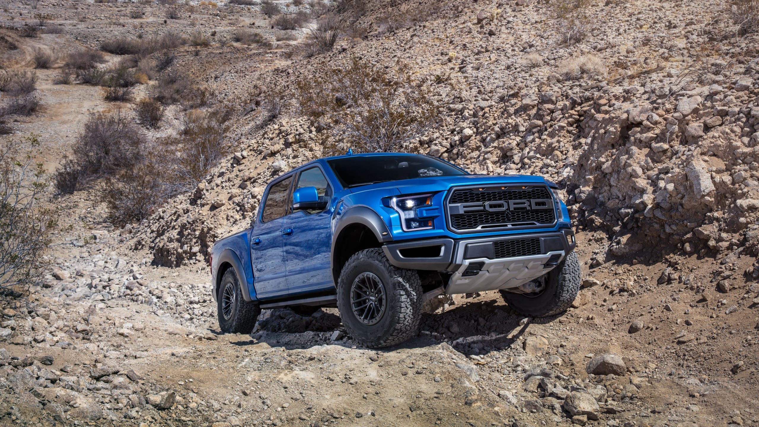 Blue 2019 Ford F-150 driving off road.