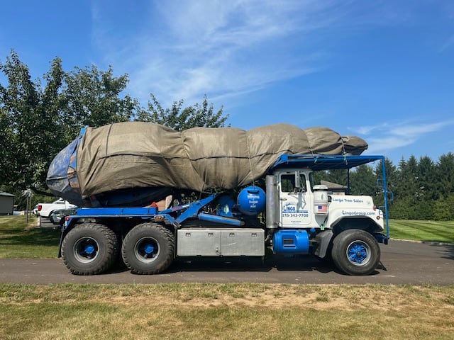 Another Lingo fleet truck transporting landscaping materials to a worksite. Another Lingo fleet truck transporting landscaping materials to a worksite.
