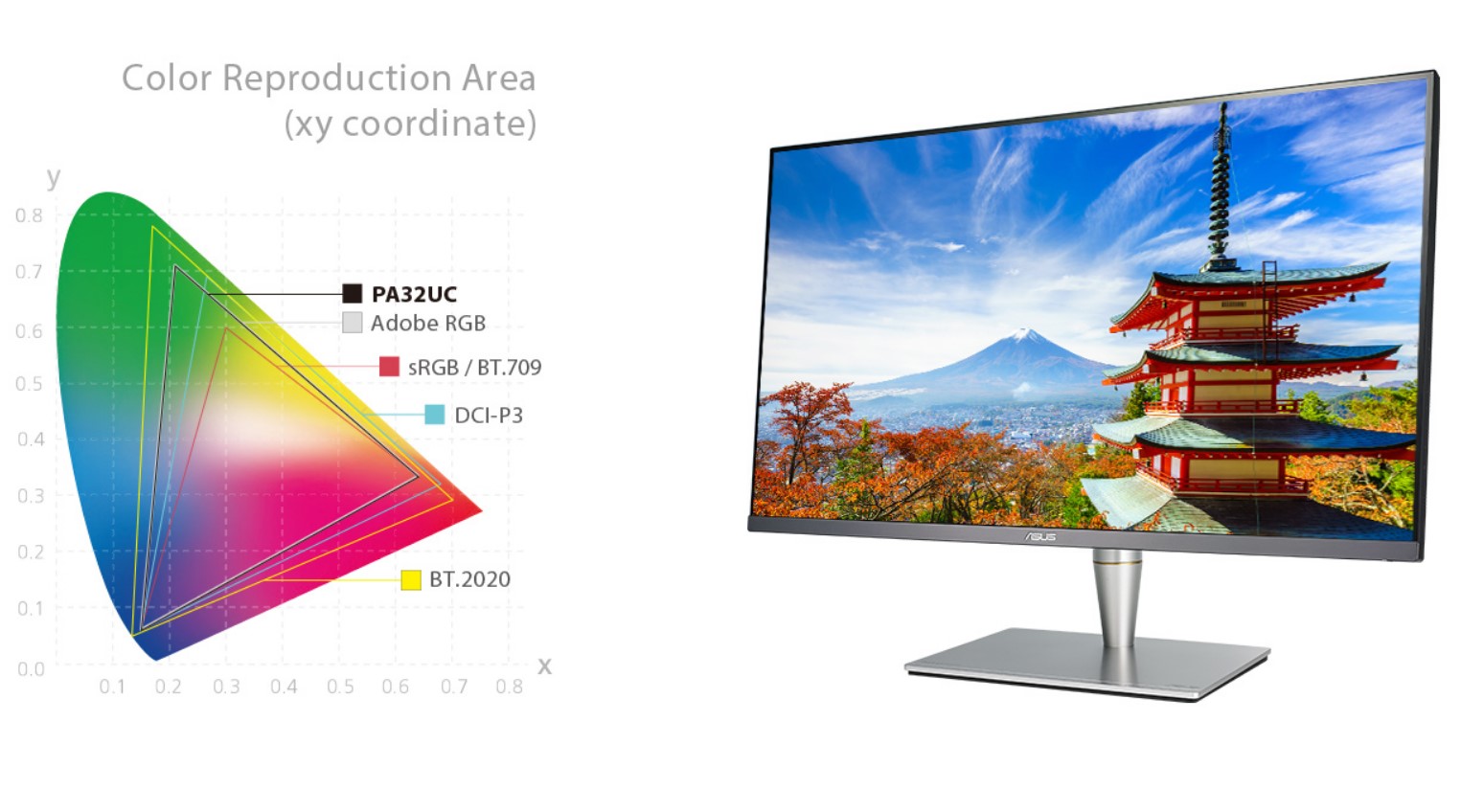 Monitor Profesional
