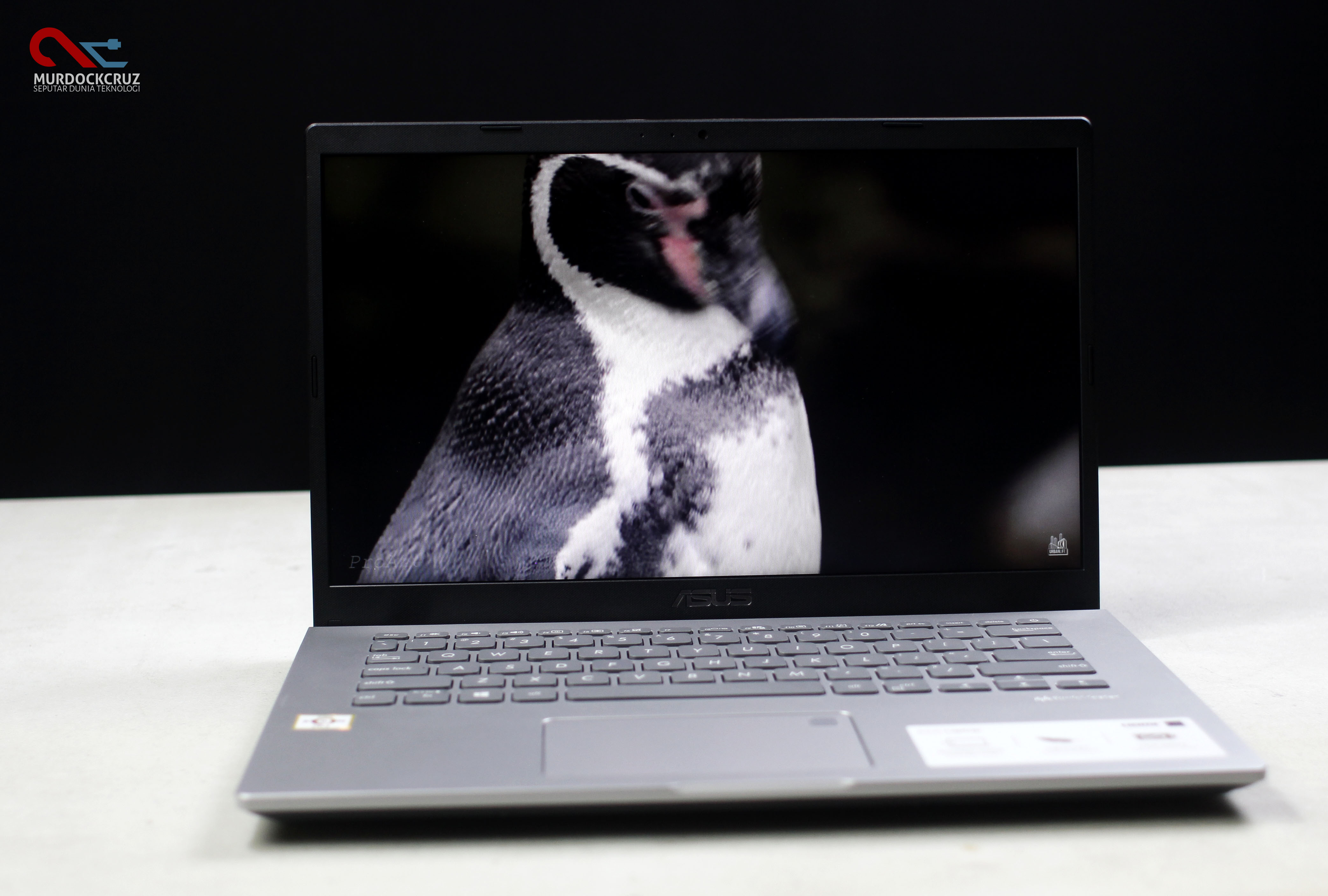 ASUS VivoBook M409DA