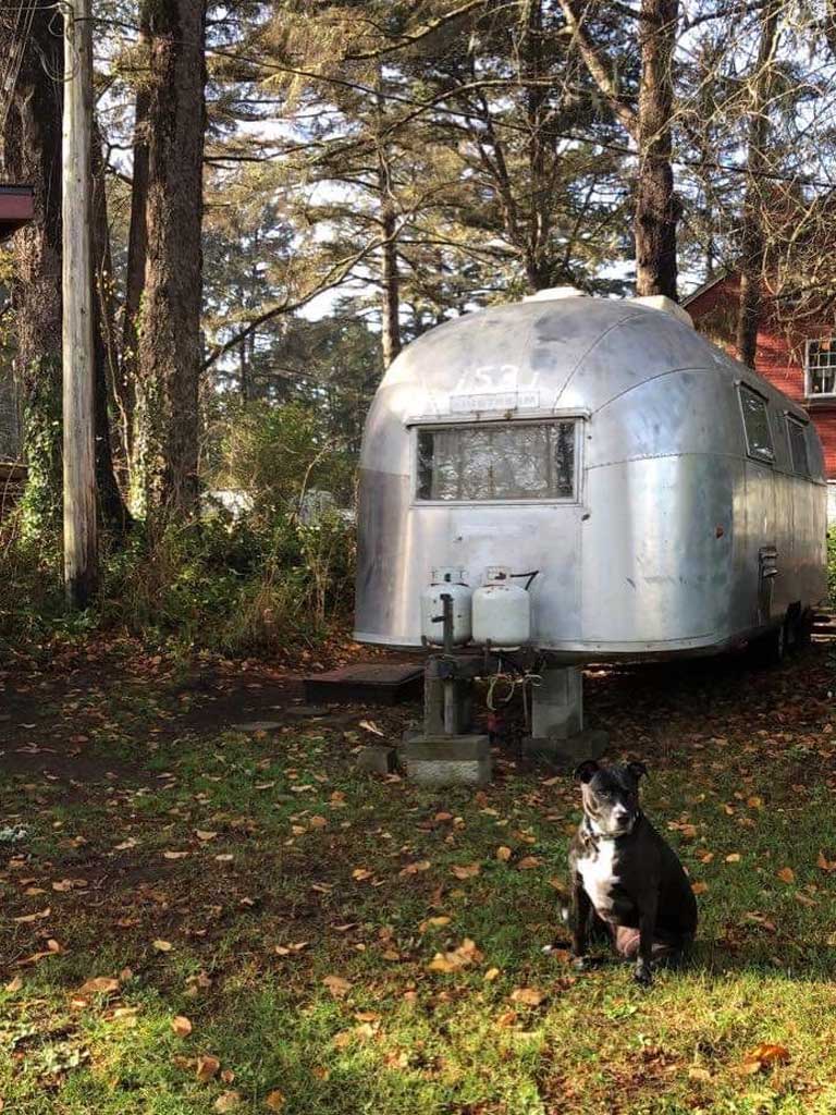 Black dog sitting on grass in front of a vintage silver trailer surrounded by trees and fallen leaves, reflecting a cozy retreat atmosphere at Sou'wester Lodge.