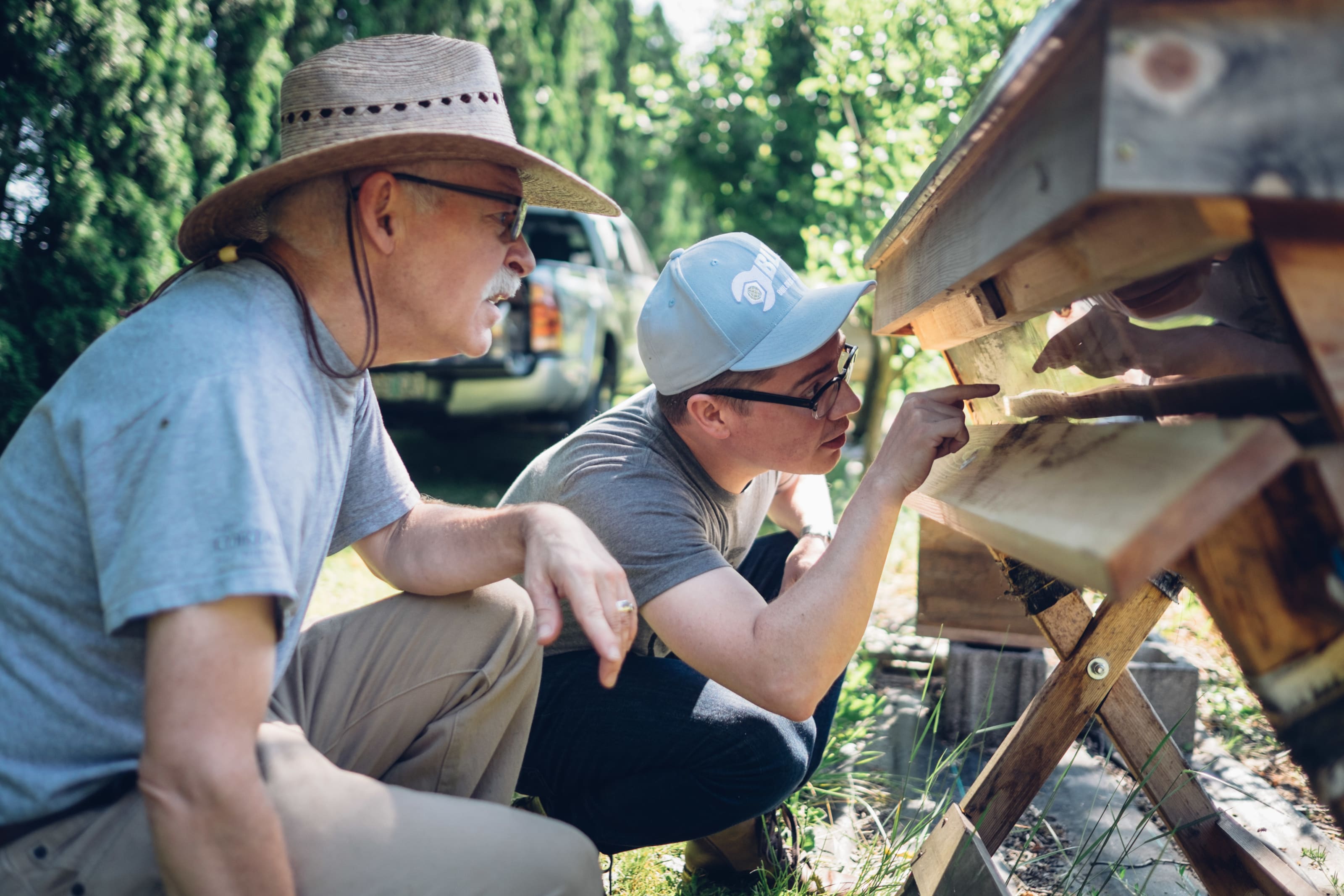 Bee Thinking Hive Check