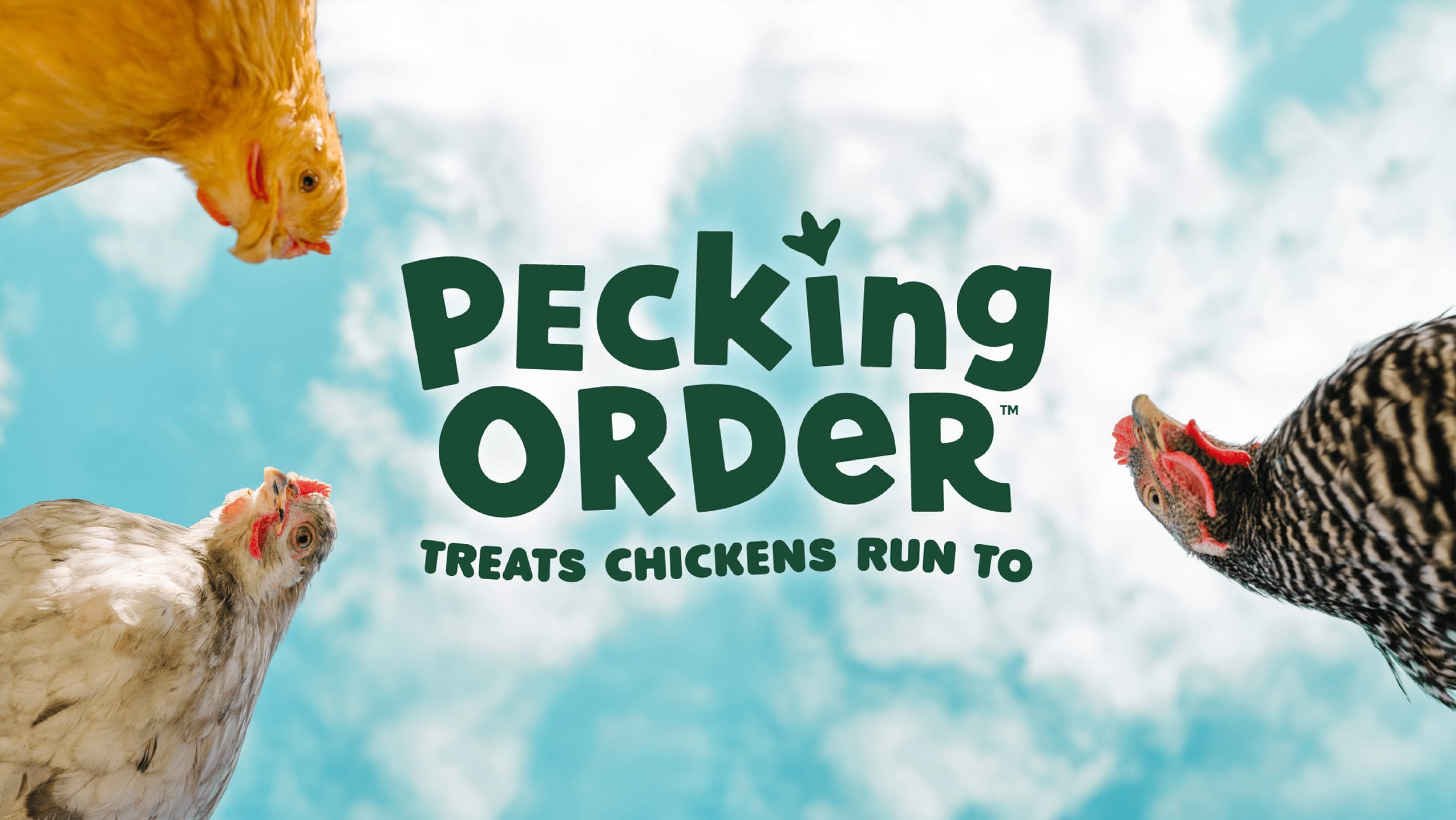 Pecking Order brand identity: expressive chicken portraits and hand-lettered logo with footprint detail.
