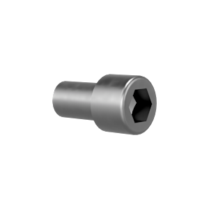 screw M12x20 ISO 4762 8.8 vz