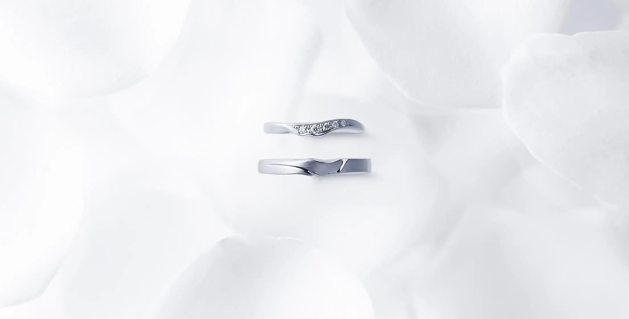 俄 NIWAKA（イメージ）