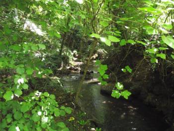 via amerina e necrepoli di tre ponti