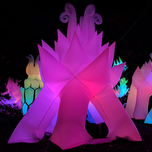 Astro Botanicals - Illuminated inflatable sculptures of sacred geometry plants and flowers