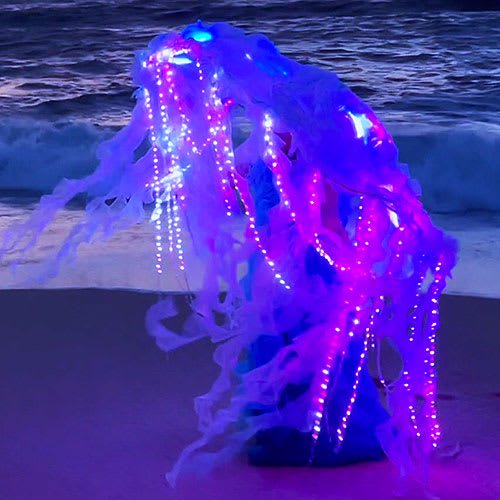 LED Jellyfish Costume