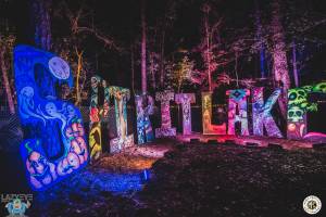 Image of Flashbay Friday Album : Suwannee Hulaween 2016