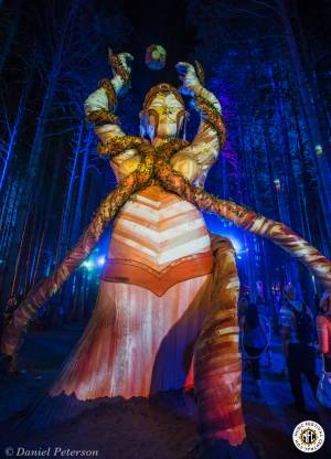 Image of Electric Forest 2016 - Rothbury, MI