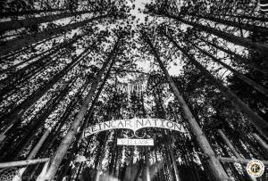 Image of Electric Forest 2016 - Throwback Thursday Edition