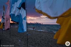 Image of Mamby On The Beach 2016 Photos - Chicago, IL