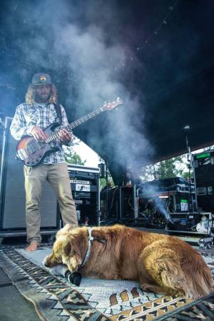 Image of Slightly Stoopid with Stick Figure @ Cuthbert Amphitheater - Eugene, OR - 06/10/18