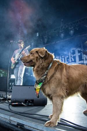 Image of Slightly Stoopid with Stick Figure @ Cuthbert Amphitheater - Eugene, OR - 06/10/18