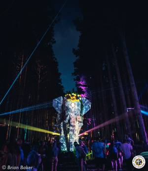 Image of Electric Forest 2017 - Rothbury, MI - Weekend 2 - Round 2