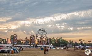 Image of Electric Forest 2016 - Rothbury, MI