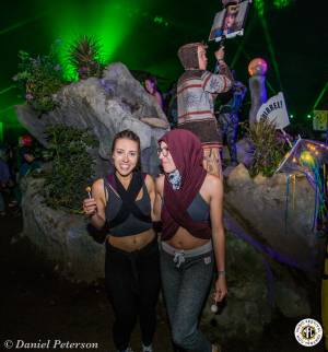 Image of Shambhala 2016 Photos - Nelson, British Columbia, CA