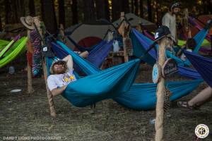 Image of Northern Nights 2016 Photos - Piercy, CA