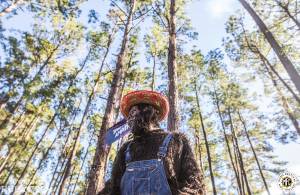 Image of Suwannee Hulaween 2017 - Live Oak, FL - Round 2