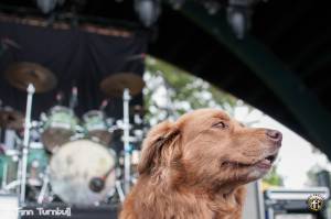 Image of Slightly Stoopid with Stick Figure @ Cuthbert Amphitheater - Eugene, OR - 06/10/18