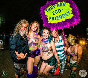 Image of Shambhala 2017- SALMO RIVER RANCH, BC-  Round 2