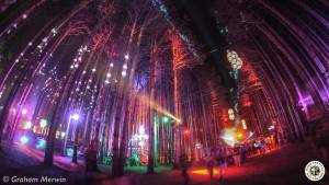 Image of Electric Forest 2016 - Rothbury, MI